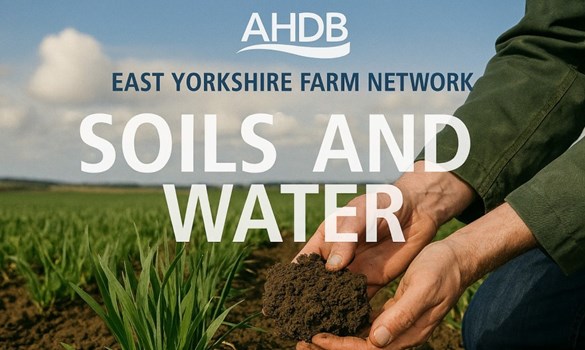 East Yorks Soils and water